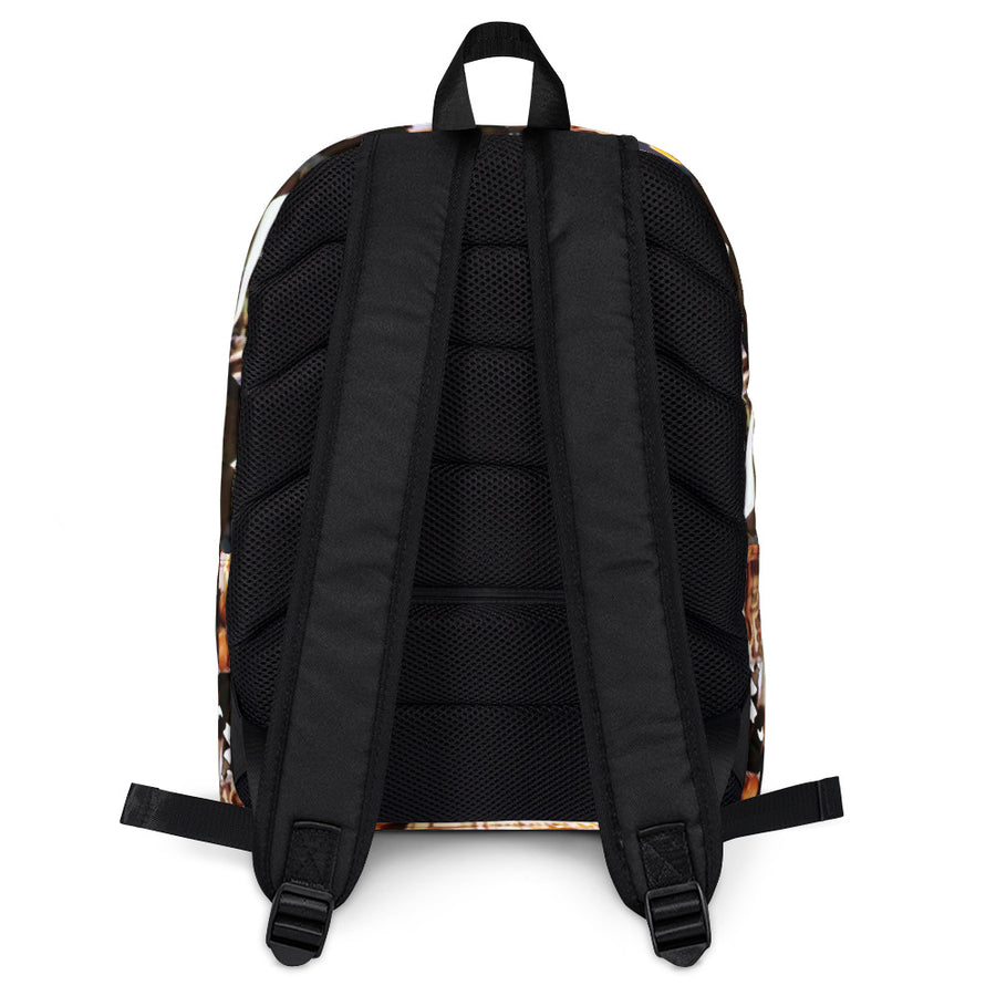 Hood Laptop/Gym Backpack