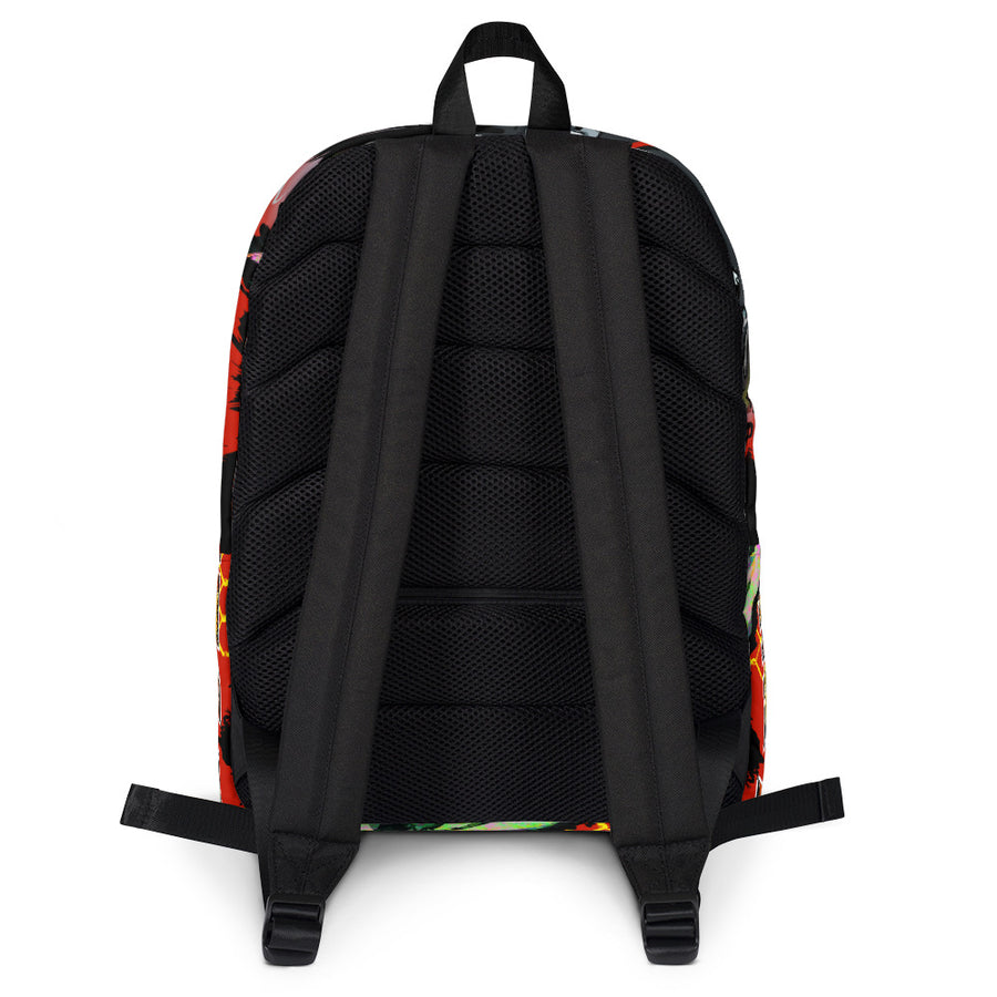 DT laptop/Backpack
