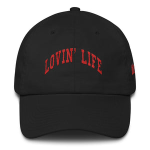 LL College DAD HAT