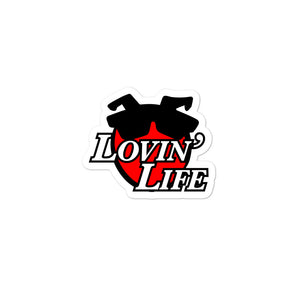 LOVIN' LIFE - ALL SMILES stickers